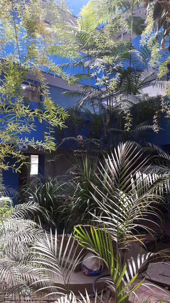 Hotel Kasa Kamelot 2 Κετσαλτενάνγκο Εξωτερικό φωτογραφία