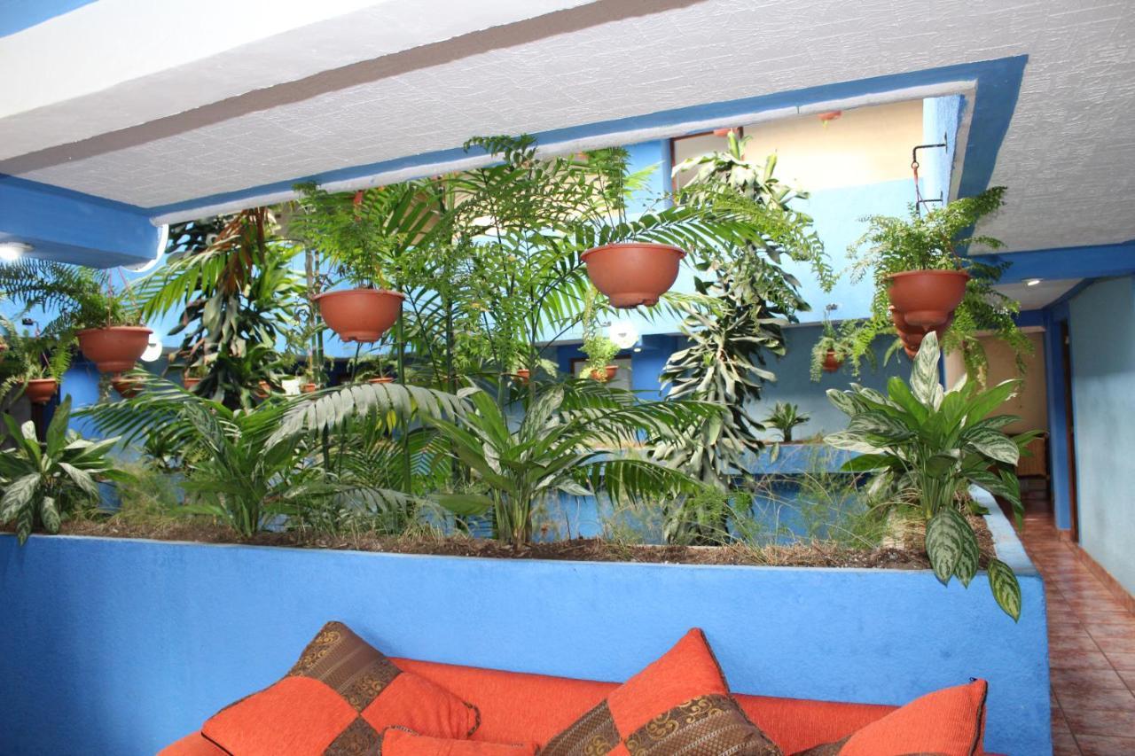 Hotel Kasa Kamelot 2 Κετσαλτενάνγκο Εξωτερικό φωτογραφία