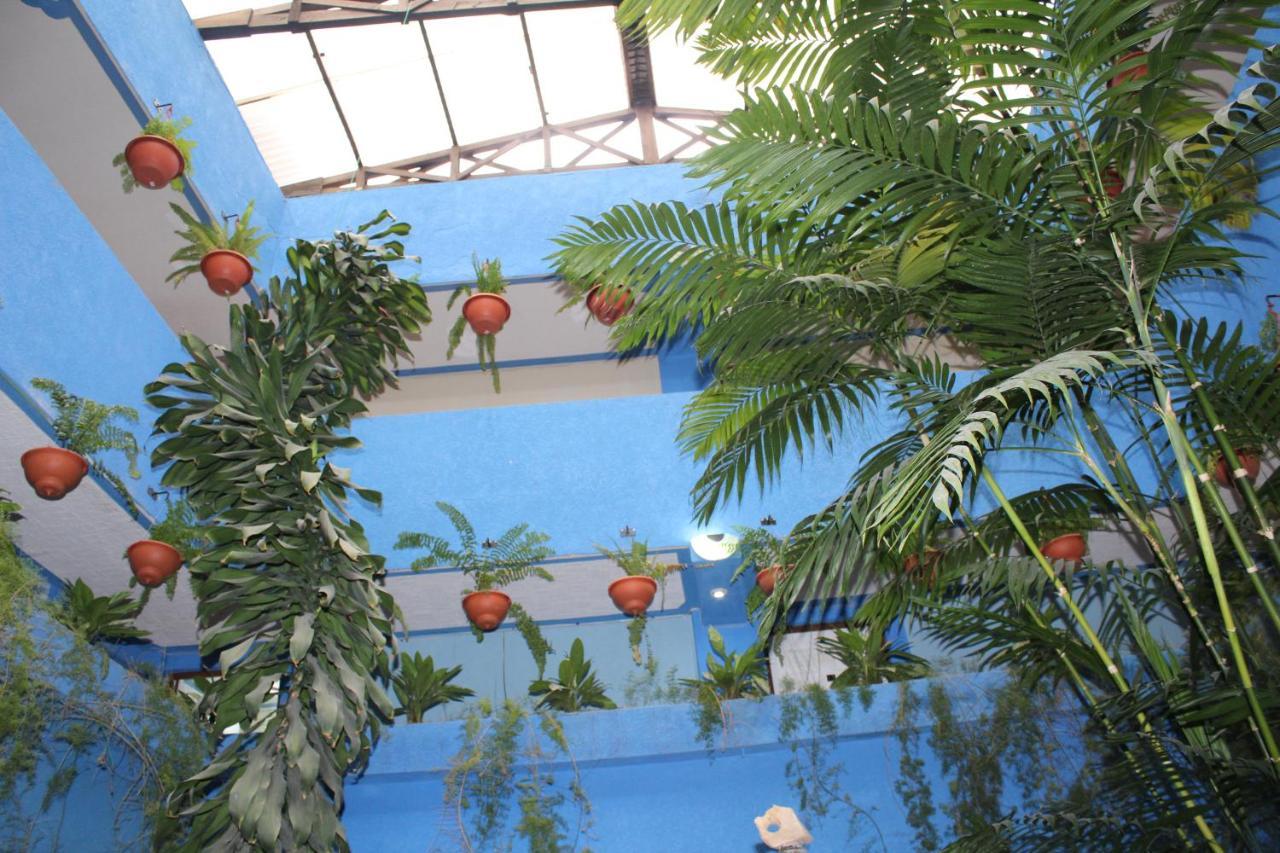 Hotel Kasa Kamelot 2 Κετσαλτενάνγκο Εξωτερικό φωτογραφία