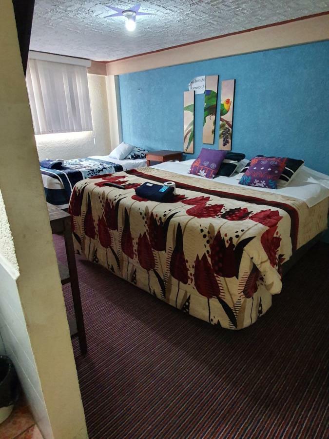 Hotel Kasa Kamelot 2 Κετσαλτενάνγκο Εξωτερικό φωτογραφία