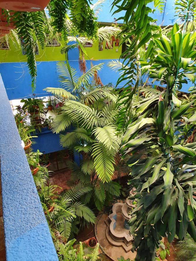 Hotel Kasa Kamelot 2 Κετσαλτενάνγκο Εξωτερικό φωτογραφία