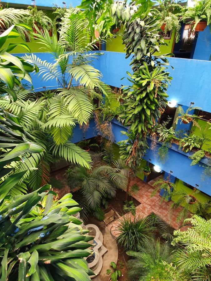 Hotel Kasa Kamelot 2 Κετσαλτενάνγκο Εξωτερικό φωτογραφία