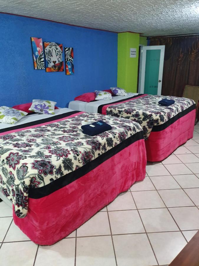 Hotel Kasa Kamelot 2 Κετσαλτενάνγκο Εξωτερικό φωτογραφία